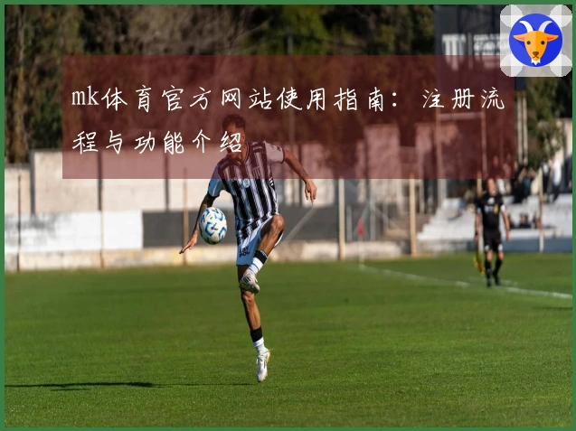mk体育官方网站使用指南：注册流程与功能介绍
