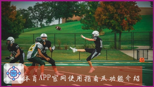 mk体育APP官网使用指南及功能介绍